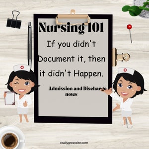 Nursing Documentation, Nursing charting, Nursing process notes, Nursing notes
