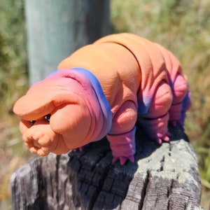 Tardigrade, Water Bear Articulated Fidget Toy, Custom Colors, Unique Gift!