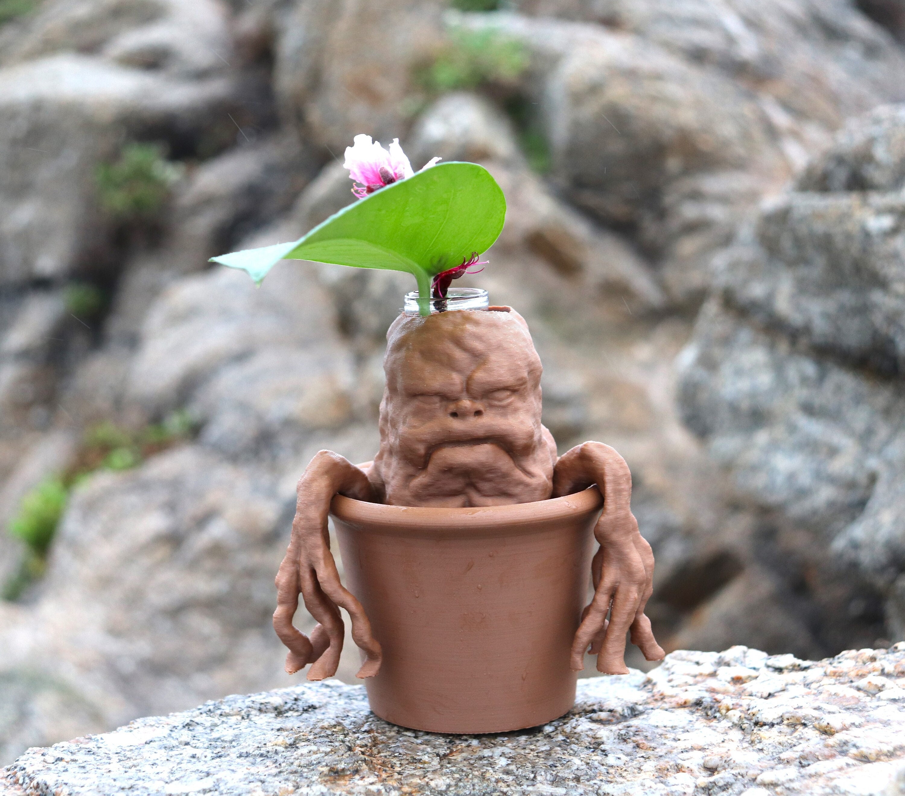 Mandrake Plant Stylized Baby Mandragora Magic Herbology 