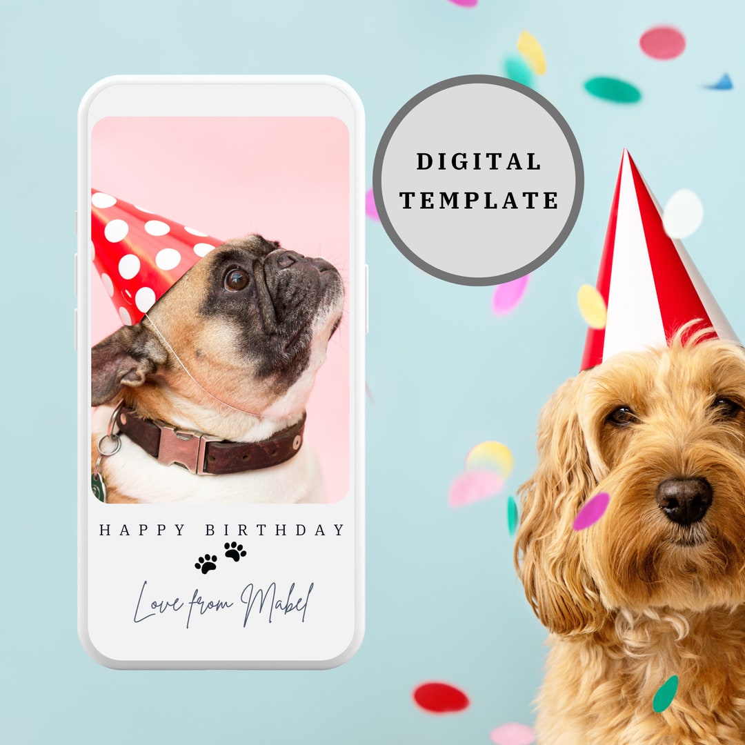 Dog Birthday Card, Birthday Card From the Dog, Happy Birthday Card From