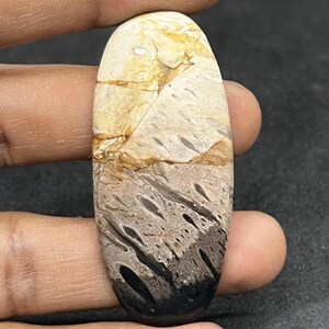 Peut inclure: Une pierre précieuse ovale avec un motif unique. La partie supérieure est beige clair avec des veines brunes, passant à une base grise et noire. La pierre est tenue entre deux doigts.