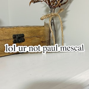 Paul Mescal sticker, Paul Mescal fan, Paul Mescal normal people, Connell Normal People, Paul Mescal merch, lol ur not paul mescal