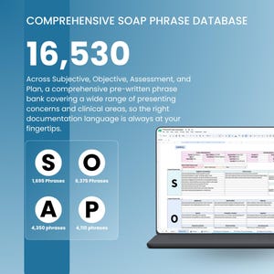 SOAP Notiz-Generator Google Sheets | Notizen zur Therapie-Sitzung | Therapeut Ratgeber Sozialarbeiter Psychologin | Klinisches Dokumenten-Tool Bild 3