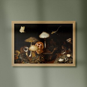 Vintage Painting Cottagecore Reptiles, Mushrooms and Butterflies Otto Marseus van Schrieck (Dutch, 1619-1678) Digital Download