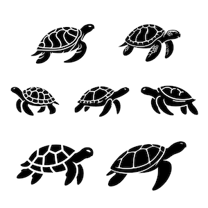 Meeresschildkröte SVG Bundle mit 7 Wasserschildkröten Silhouetten für Cricut & Laserschnitt und ein Geschenk für Sie, Ihn oder Meeresliebhaber