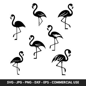 Flamingo SVG Clipart Bundle: Silhouette Cut Files (Digital Download)