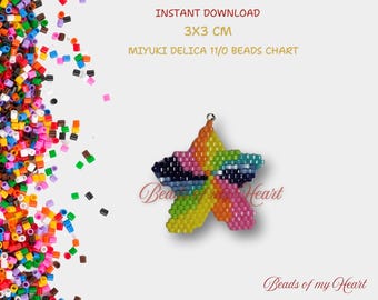 Étoile arc-en-ciel PDF coloré Miyuki Delica Sead Bead Brick Stitch Pattern pour bijoux, breloques, boucles d'oreilles