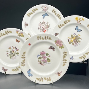 Könnte beinhalten: Set aus vier weißen Keramiktellern mit Blumen- und Schmetterlingsmotiven. Jeder Teller zeigt eine andere Blumen- und Schmetterlingsart. Die Teller haben einen grünen, blattreichen Rand.