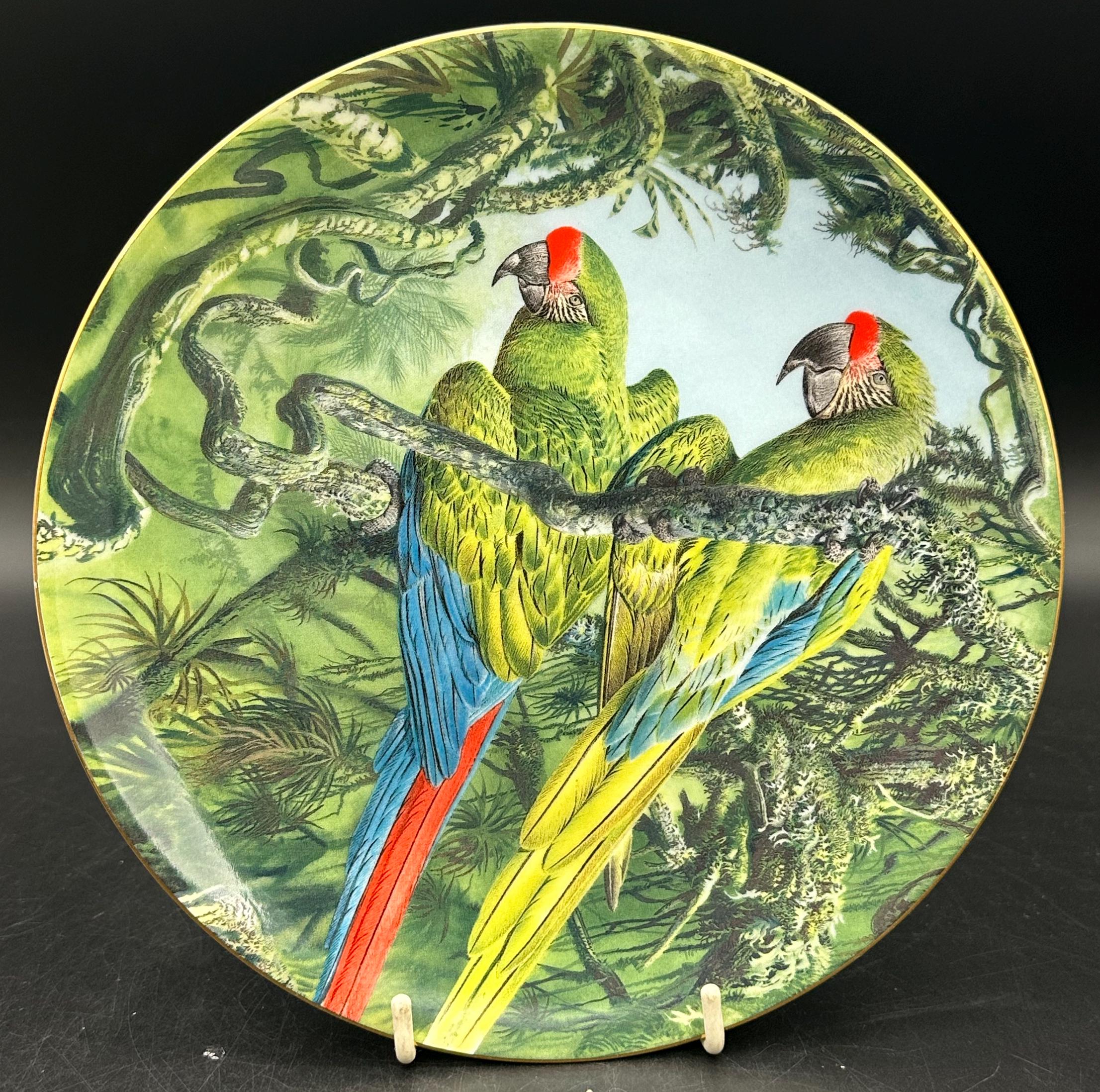 Wedgwood Fragile Paradise Parrot Plate Military Macaws Limited