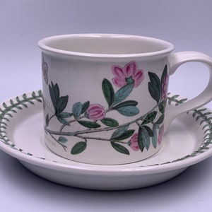 May include: A white teacup and saucer with a floral design featuring pink flowers and green leaves. The saucer has a green border with a repeating leaf pattern.