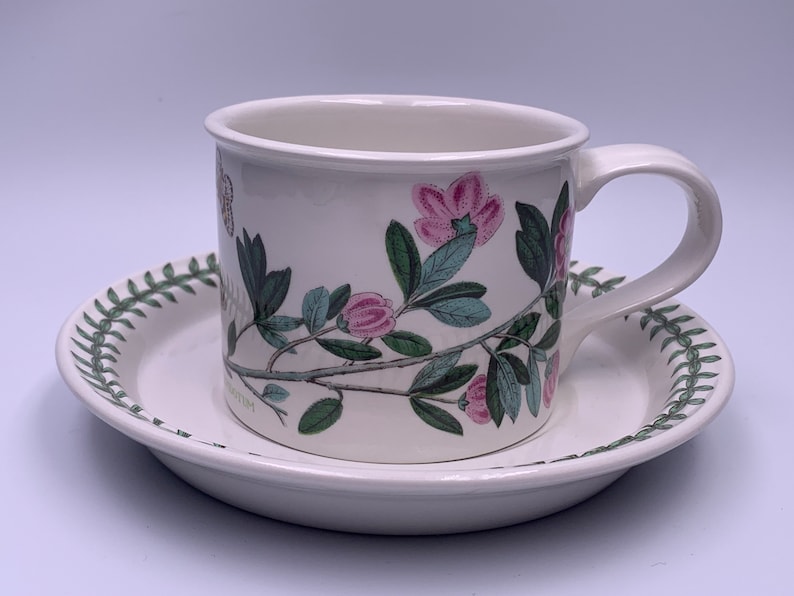 May include: A white teacup and saucer with a floral design featuring pink flowers and green leaves. The saucer has a green border with a repeating leaf pattern.