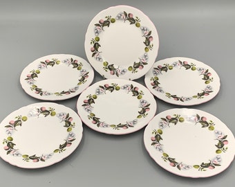 Shelley fine bone china set of six vintage floral tea\side plates