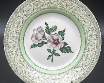 The Royal Horticultural Society Apple Bee Collection Set of Four