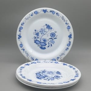 Könnte beinhalten: Ein Set aus drei weißen Keramiktellern mit blauem Blumenmuster. Jeder Teller zeigt ein zentrales Arrangement aus stilisierten Blüten und Blättern, während ein zartes Ranken- und Zwiebelmotiv den äußeren Rand des Geschirrs umläuft.