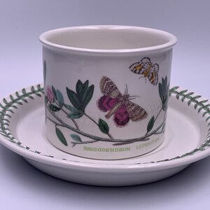 May include: A white ceramic teacup and saucer with a green border and a floral design featuring butterflies and the text "RHODODENDRON LEPIDOTUM".