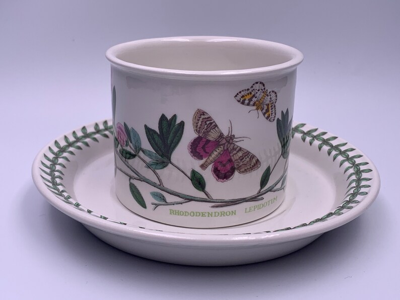 May include: A white ceramic teacup and saucer with a green border and a floral design featuring butterflies and the text "RHODODENDRON LEPIDOTUM".