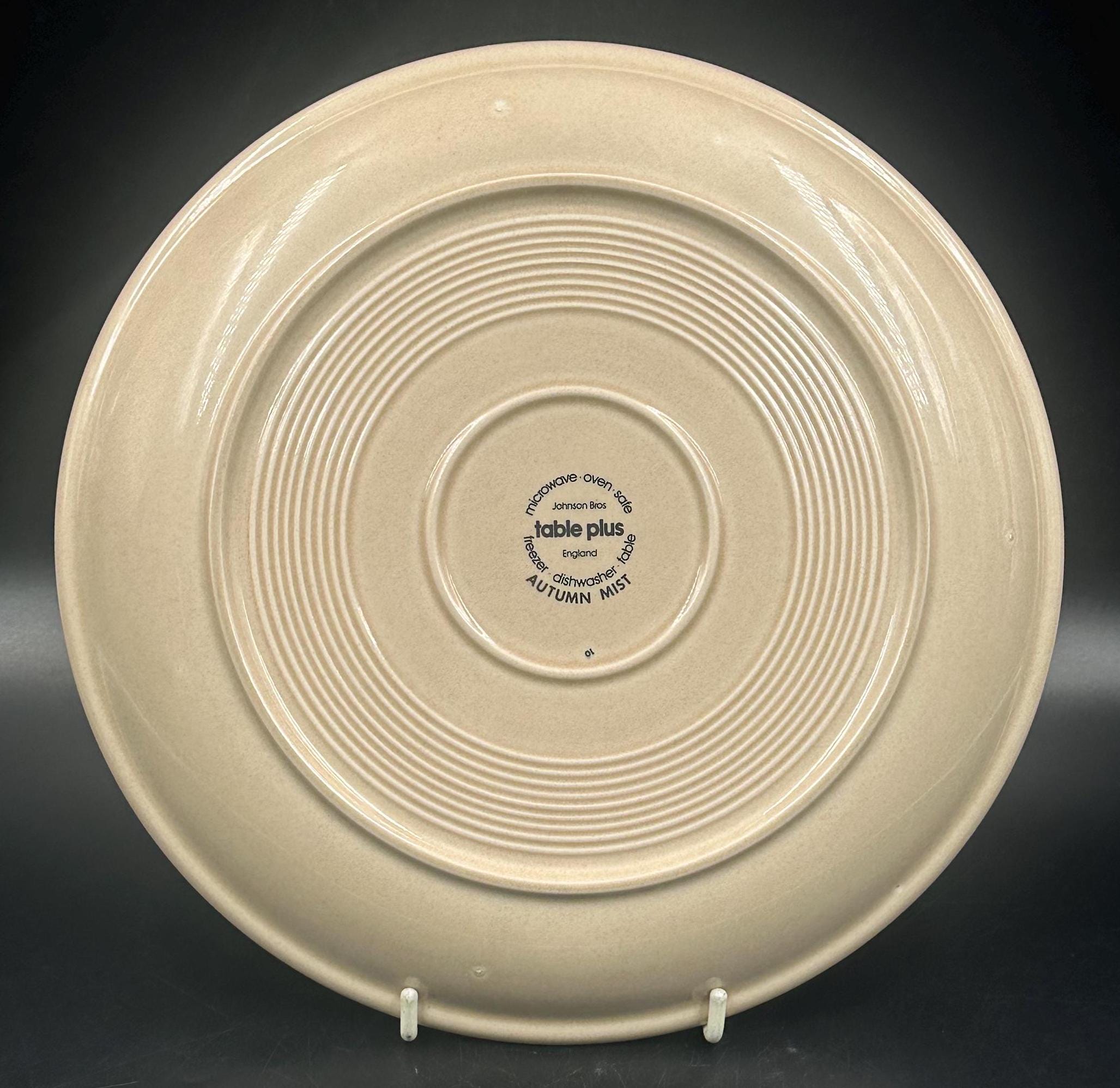 Johnson Brothers Autumn Mist Stoneware Dinner Plate 10.5