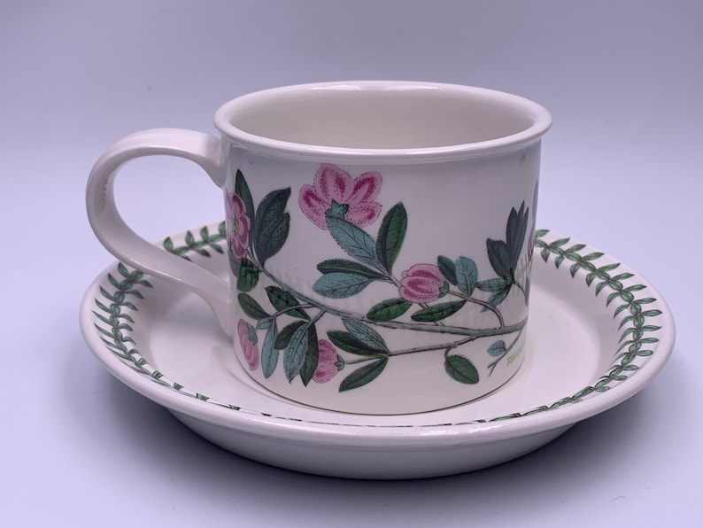 May include: A white teacup and saucer with a floral design featuring pink flowers and green leaves. The saucer has a green border with a repeating leaf pattern.