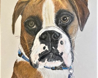 Pet Portrait Original Fine Art