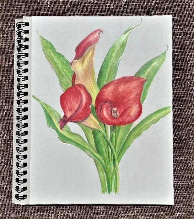 Cala Lily image 1