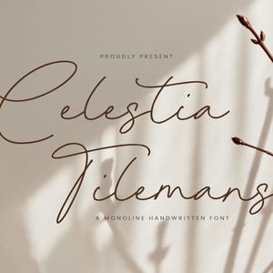 Fuente manuscrita monolineal, tipografía moderna, tipografía elegante, fuente para bodas, fuente de marca, diseño de invitaciones, uso digital, fuentes Templett