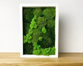 Handmade Preserved Moss Wall Art: Natural Home Decor