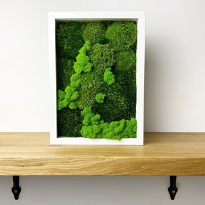 Moss frame, Moss art, Mosswall, moss picture, Home decoration