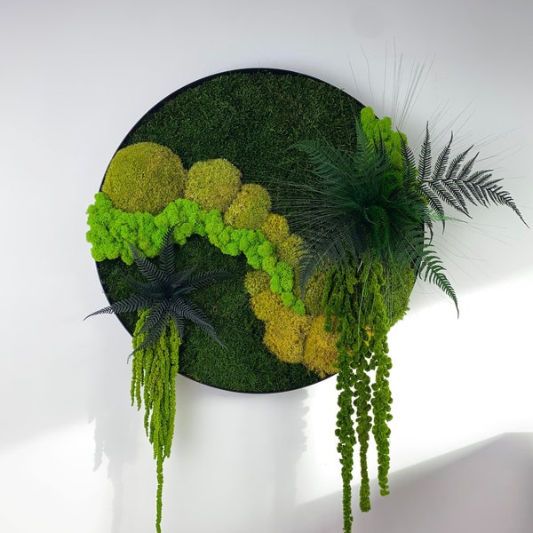 Moss frame, Moss art, Mosswall, moss picture, Home decoration