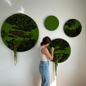 Set of 4 moss pictures, mosswall, moss picture
