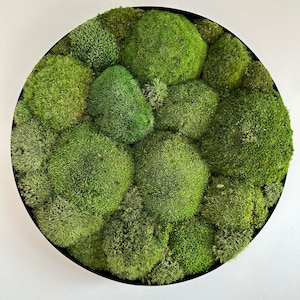 Moss frame, Moss art, Mosswall, moss picture, Home decoration