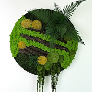 Moss frame, Moss art, Mosswall, moss picture, Home decoration