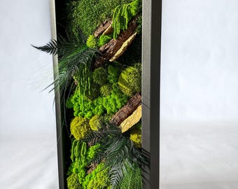 Moss wall art, moss picture