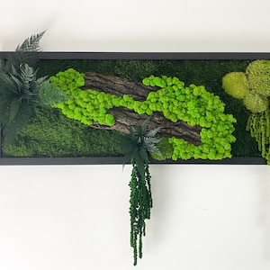 Handmade Preserved Moss Wall Art: Natural Green Home Decor