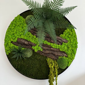 Moss frame, Moss art, Mosswall, moss picture, Home decor