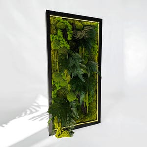 Vertical LED picture with moss, moss picture