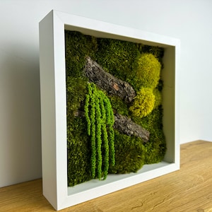 Moss picture in white frame, Mosswall, Moss frame, Moss art, Home decoration