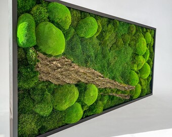 Moss Wall Art: Handmade Personalized wall decor