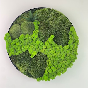 Moss picture in black frame, moss frame, moss art