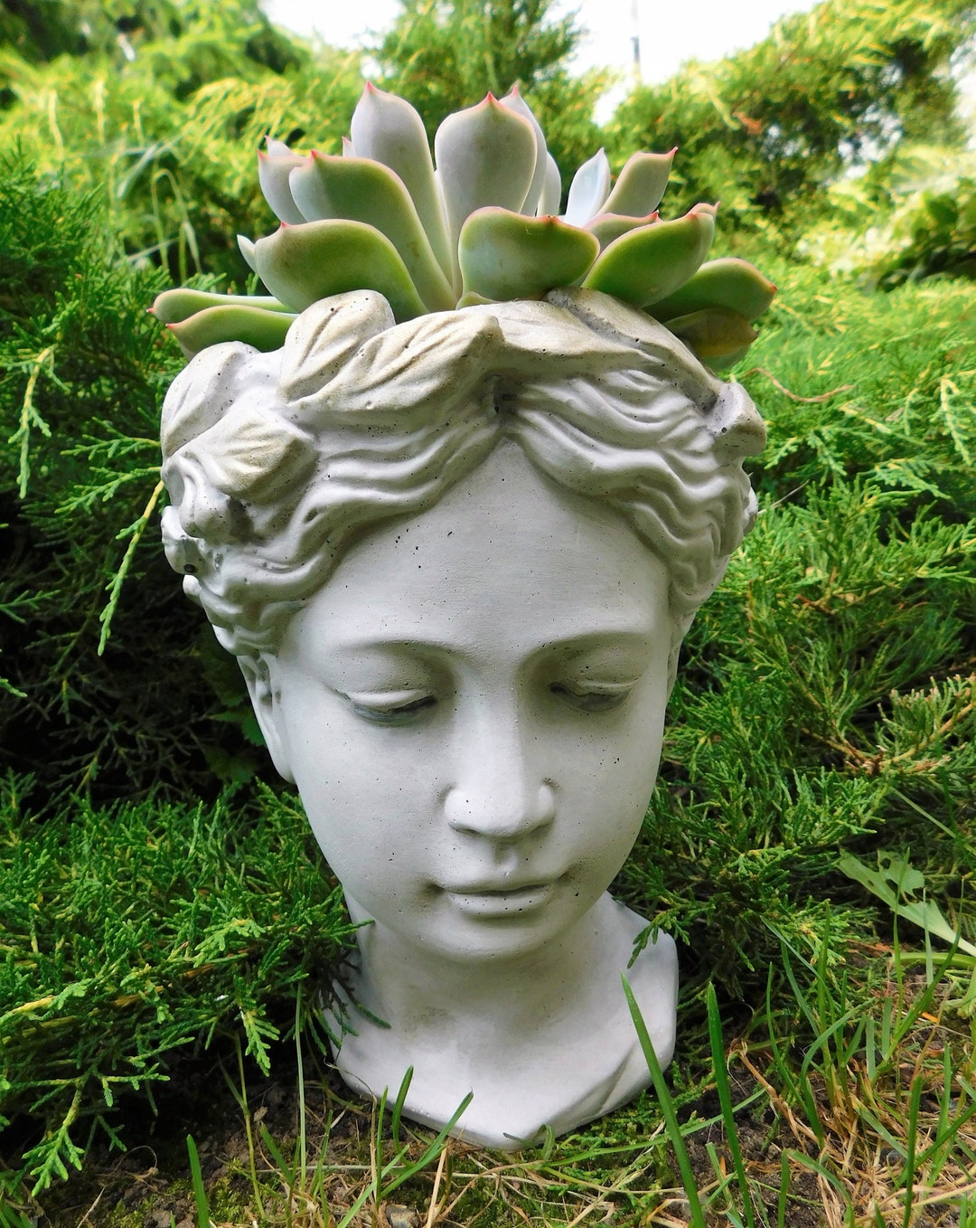 Woman Head Planter Made of Stone, Unique Flower Pot, Concrete Decor