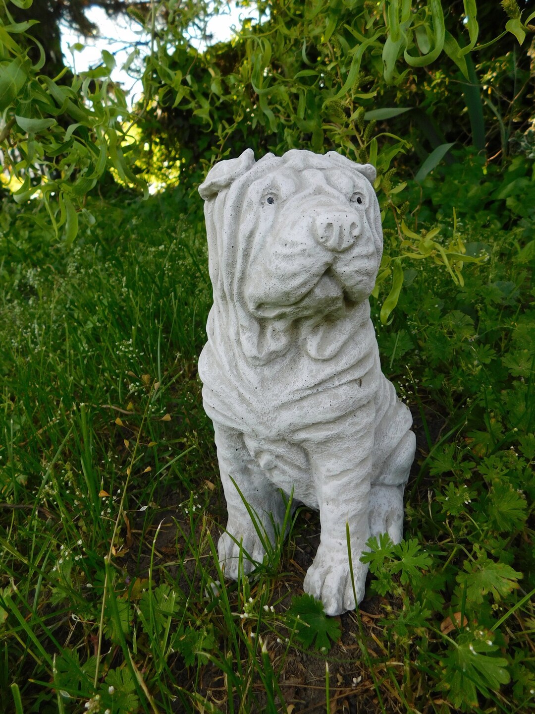Sharpei Dog Statue Concrete Dog Ornament Shar Pei Etsy