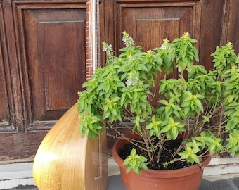 Kopuz professionnel, Kopuz feuille de mûrier, saz turc, Kopuz artisanal, Kopuz feuille de mûrier, Musique pour cordes