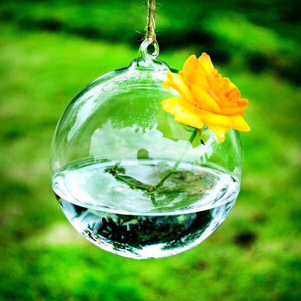 Light Bulb Vase Etsy