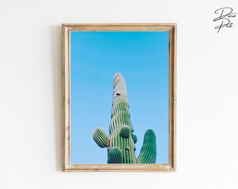 Cactus Print, Cactus Wall Art, Desert Wall Art, Desert Print, Cactus Prints Desert, Decor Saguaro, Cactus Photography, Botanical Print | 179