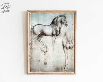 Pferdestudie von Leonardo Da Vinci Druck, Leonardo Da Vinci Pferdezeichnungen, Leonardo da Vinci Skizzen, Leonardo Da Vinci Gemälde | 105