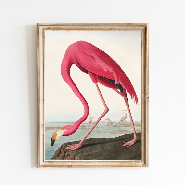Flamingo Wall Art, Vintage Wall Art, Audubon Wall Art, Pink Flamingo Print, Wildlife Print, American Flamingo, PRINTABLE Wall Art | 176