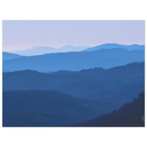 Fine Art Poster