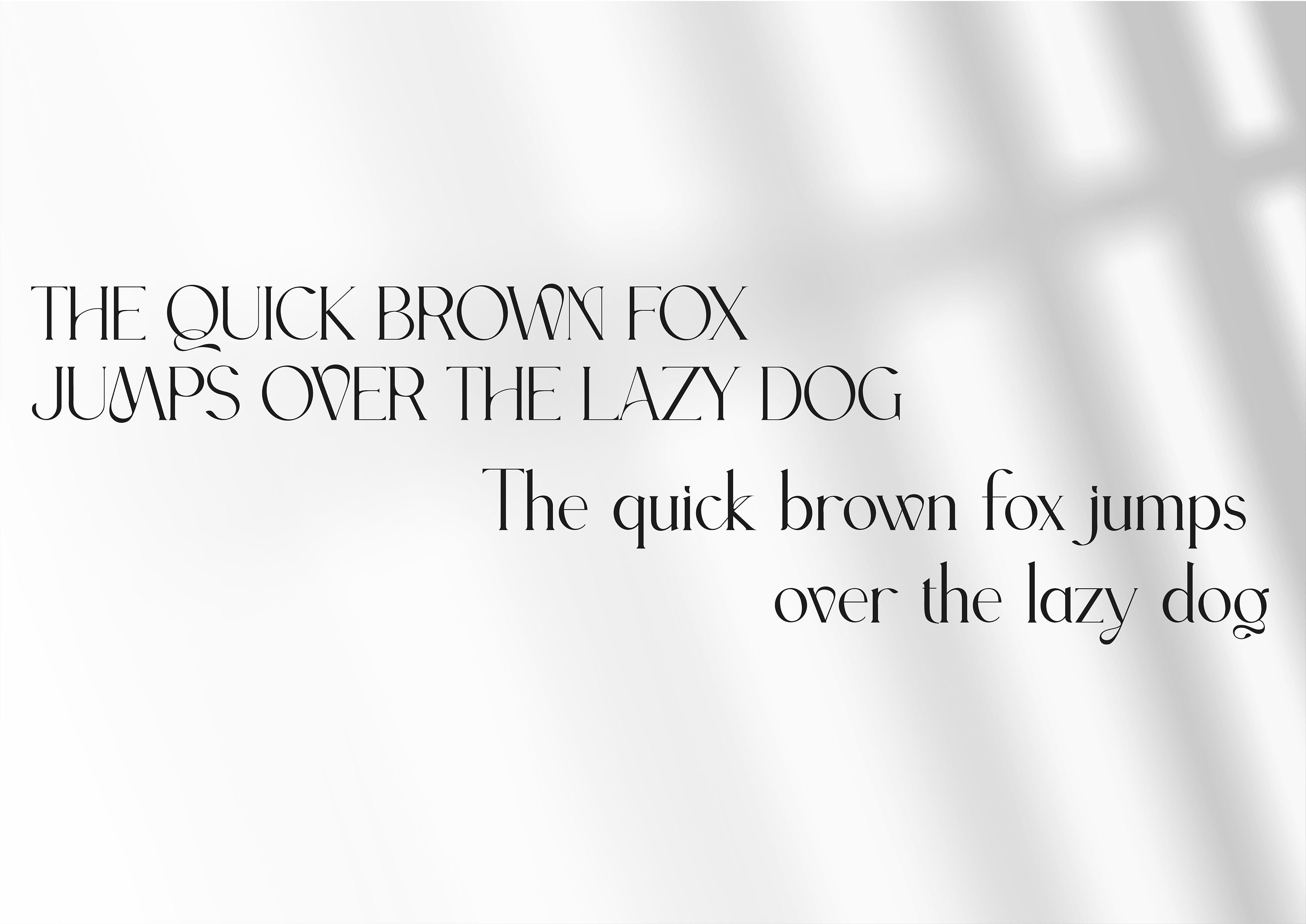 Display Serif Font, Lettering, Branding Fonts, Logo Font, Chic Font ...