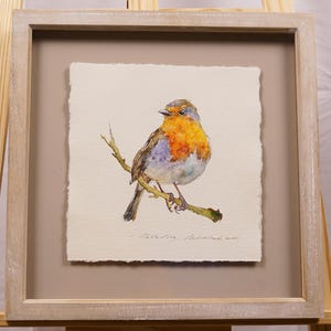 Robin bird *4. Original watercolor painting in frame. Suffolk, England