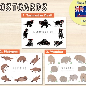 Cartão postal Diabo da Tasmânia, Wombat, Ornitorrinco (cada)【Envio da AUS】