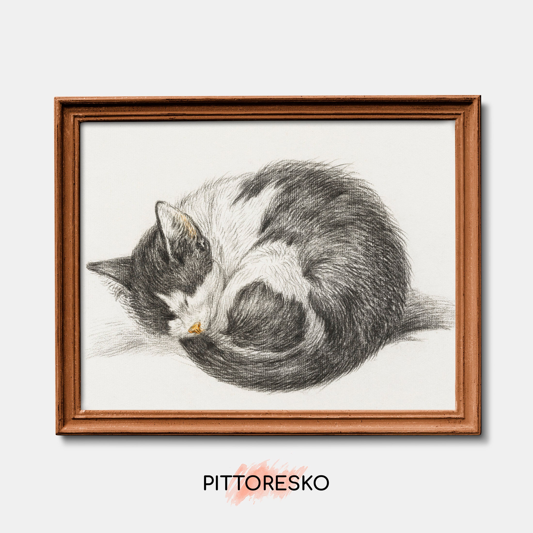 Black and White Drawing of a Sleeping Cat Vintage Curled up - Etsy